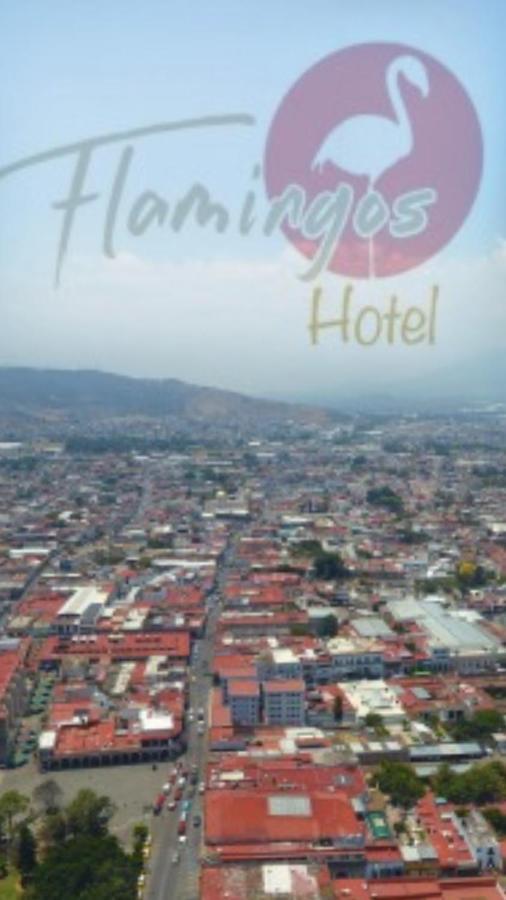 Hotel Flamingos De Ciudad Guzman Buitenkant foto