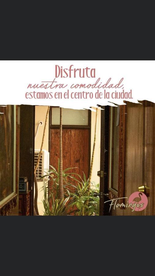 Hotel Flamingos De Ciudad Guzman Buitenkant foto